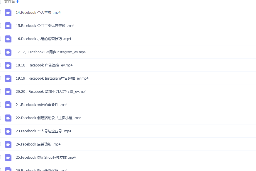 Facebook 广告投放菜鸟到老鸟课程【限时免费领取视频课】