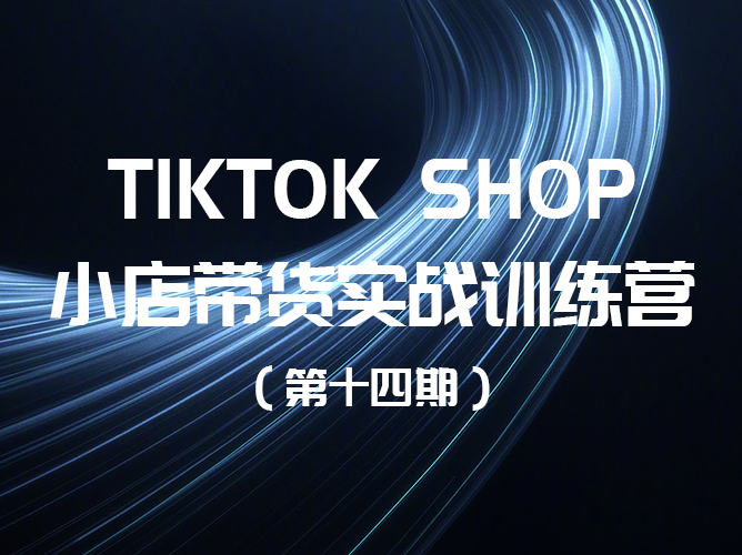 【免费课程】TikTok Shop全球店带货训练营（第十四期），实战教学助你成功！