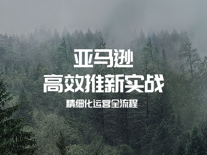 亚马逊高效新品推广的精细化运营完整流程【视频课程公益分享】