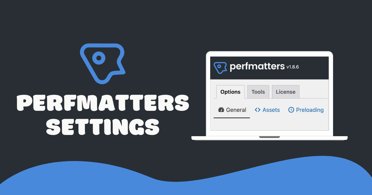 WordPress优化大师——Perfmatters v2.3.3破解版免费下载