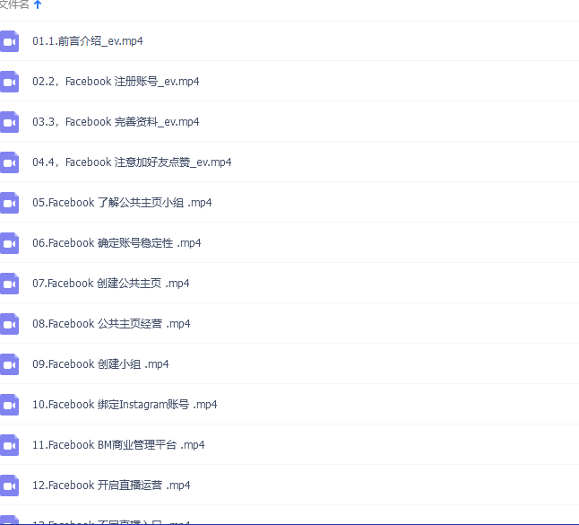 Facebook 广告投放菜鸟到老鸟课程【限时免费领取视频课】