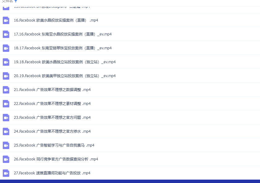 Facebook 广告投放菜鸟到老鸟课程【限时免费领取视频课】